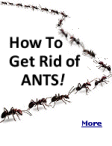 Tips for getting rid of ants for good whether they�re wreaking havoc in your home or yard.
